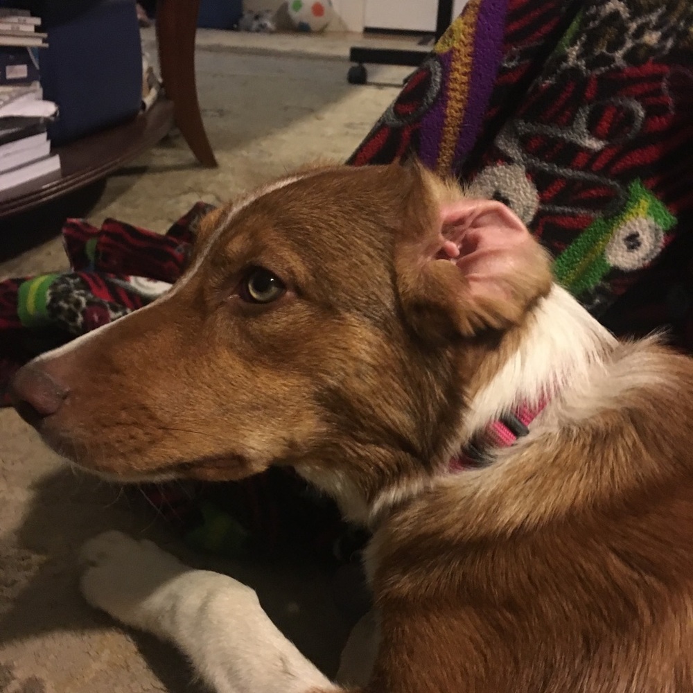 Meet your Posher, Karen